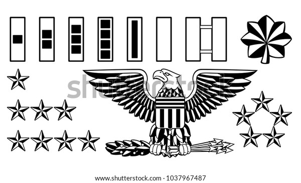 Set American Military Army Officer Ranks Stock Vector Royalty Free