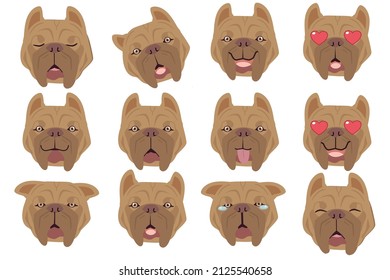 Set of American pit bull dog emotions. Funny Smiling and angry, sad and delight dog. Face of dog cartoon emoji. Illustration about kawaii animal and pet in flat vector style.