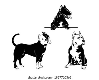 Set of American pitbull. Collection of purebred dogs. Peeking dog. Vector illustration of a domestic dog on a white background. Tattoo.