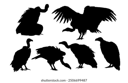 Set of American vulture silhouettes. Wild birds of Africa. Realistic vector animals