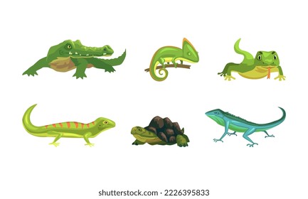 Set of amphibians. Chameleon, iguana, crocodile crawling animals cartoon vector illustration