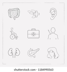 Set of anatomical icons line style symbols with hair, intestine, ear and other icons for your web mobile app logo design.