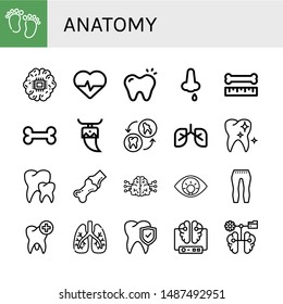 Set of anatomy icons such as Feet, Brain, Cardiology, Tooth, Nose bleeding, Bone, Lungs, Healthy tooth, Teeth, Joint, Eye, Leggings , 