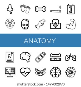 Set of anatomy icons such as Nose bleeding, Skull, Feet, Bone, Joint, Dental implant, X ray, Muscle, Dental record, Tooth, Brain, Cardiology, Spinal board, Eye, Lungs , anatomy