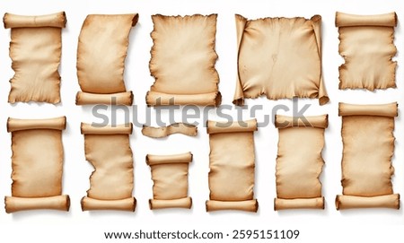 Set of Ancient Paper or Parchment Scrolls, realistic vector illustration, unique vintage texture, isolated on white background