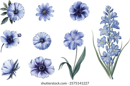 Set of anemone watercolor flower. Blue anemones flower isolated on a white background.