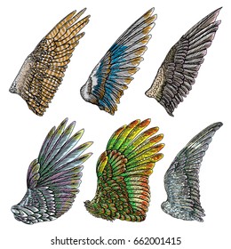 Set of angel or bird colourful wings. Colorful abstract hand drawing sketch, isolated illustration. Woodcut vintage style wings, hipster tattoo or vintage body art concept. Vector.
