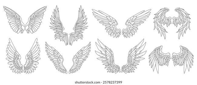 Set of angel or bird wing. Vector feather contour. Medieval or heraldic emblem. Sign for heaven or celestial, divine and spiritual tattoo. Mascot for flight and freedom. Phoenix or eagle, hawk outline