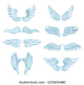 Set of angel wings isolated on white background. Vector illustration