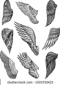 Set of Angel wings in vintage style. Template for tattoo and emblems, t-shirts and logo. Emblem for stickers. Engraved sketch. Vector illustration.