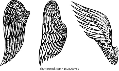 Set of Angel wings in vintage style. Template for tattoo and emblems, t-shirts and logo. Emblem for stickers. Engraved sketch. Vector illustration.