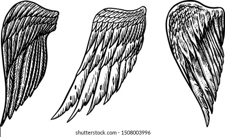 Set of Angel wings in vintage style. Template for tattoo and emblems, t-shirts and logo. Emblem for stickers. Engraved sketch. Vector illustration.