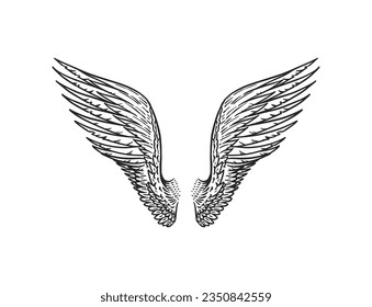 Set of Angel wings in vintage style. Template for tattoo and emblems, t-shirts and logo. Emblem for stickers. Engraved sketch. Vector illustration.