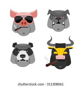 Set of angry animals. Head of a Pig and bull. Bad Bear and Bulldog. Vector illustration

