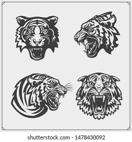 Tiger Tattoo Images Stock Photos Vectors Shutterstock