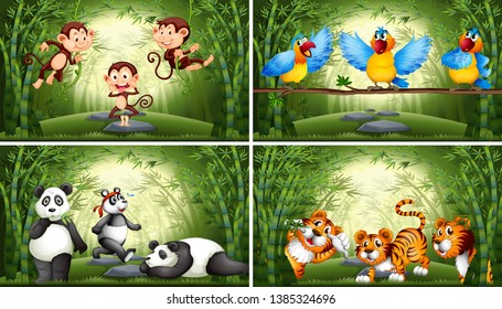 Set of animal in bamboo forest illustration