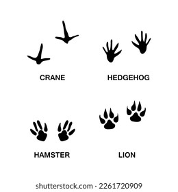Set of animal and bird trails with name trendy style illustration on white background..eps