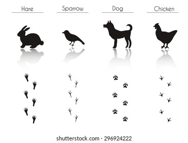 Set of Animal and Bird Trails with Name.Vector Set of Black Farm Animals and Birds Silhouettes: Hare, Sparrow, Dog, Chicken. Hand Drawn Vector Illustration.
