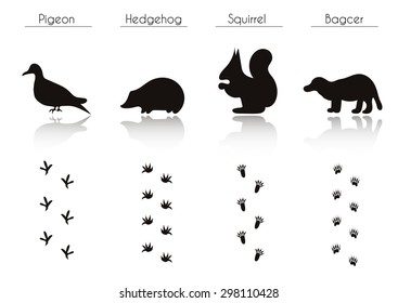 Set of Animal and Bird Trails with Name.Vector Set of Black Forest Animals and Birds Silhouettes: Pigeon; Hedgehog; Squirrel. Hand Drawn Vector Illustration.