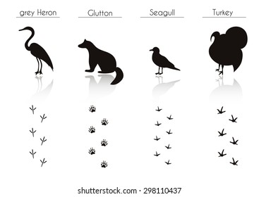 Set of Animal and Bird Trails with Name.Vector Set of Black Forest Animals and Birds Silhouettes: grey Heron, Glutton, Seagull, Turkey. Hand Drawn Vector Illustration.