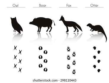 Set of Animal and Bird Trails with Name.Vector Set of Black Forest Animals and Birds Silhouettes: Owl, Boar, Fox, Otter. Hand Drawn Vector Illustration.