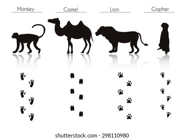 Set of Animal and Bird Trails with Name.Vector Set of Tropical  Animals and Birds Silhouettes: Monkey, Camel, Lion, Gopher. Hand Drawn Vector Illustration.