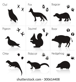 Set of Animal and Bird Trails with Name.Vector Set of Black Forest Animals and Birds Silhouettes: Owl, Boar, Fox, Otter. Hand Drawn Vector Illustration.