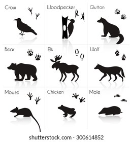 Set of Animal and Bird Trails with Name.Vector Set of Black Forest Animals and Birds Silhouettes: Woodpecker, Elk, Mouse, Wolf. Hand Drawn Vector Illustration.