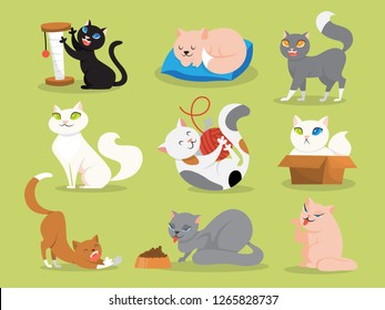 Set of animal cat sleeping and playing. Collection of adorable animal pet. Funny domestic kitten. Flat vector illustration