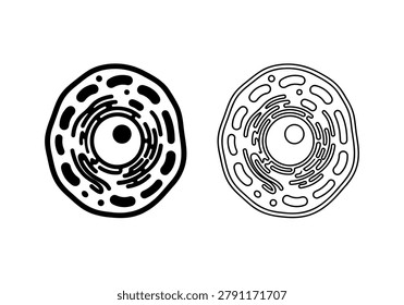 Set of animal cell structure diagrams, scientific biology illustration, nucleus and organelles, black silhouette and outline.