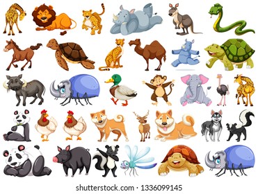 Set of animal character illustration