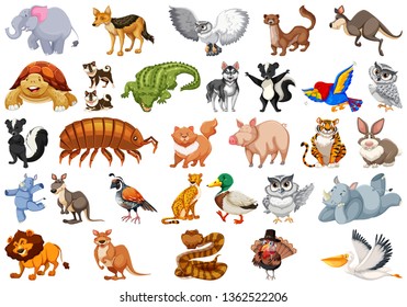 Set of animal character illustration