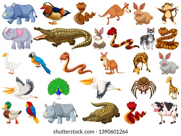 Set of animal character illustration