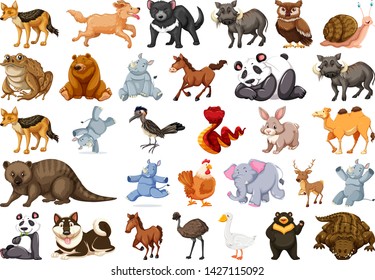 Diverse Set Isolated Animals On White Stock Vector (Royalty Free ...