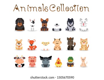 set of animal cute pixel with sitting; Vector illustration