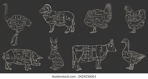 Eine Reihe von Tierteilstücken für den Fleischerladen. Rindfleisch, Kuh, Gänse, Schweinefleisch, Strauß, Kaninchen, Kaninchen, Puten, Huhn. Vektorgrafik auf weißem Hintergrund