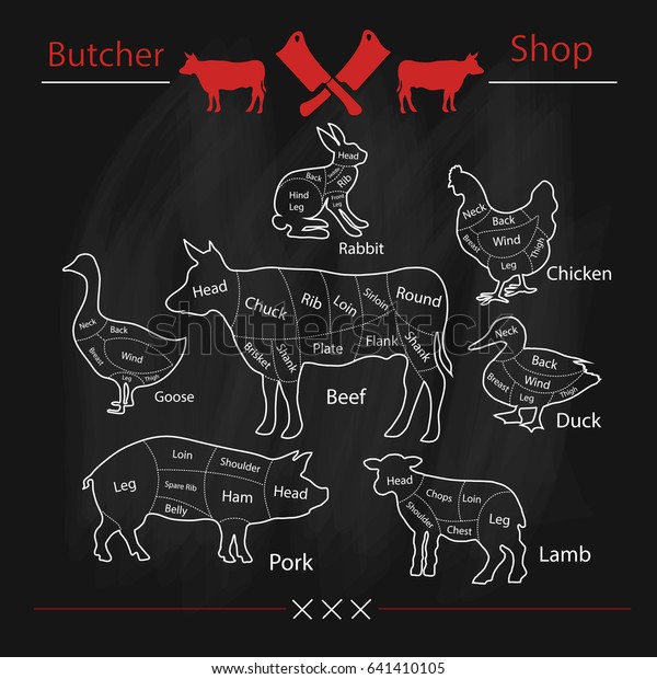 Set of animal cuts for butcher\'s shop.beef\
cow, goose, pork, sheep, duck, rabbit, goose, lamb, chicken. Vector\
illustration