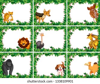 Conjunto de ilustraciones de marco animal