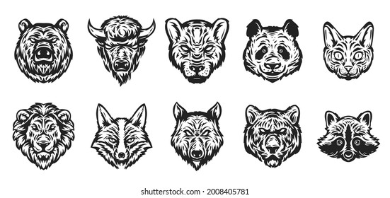 Set Of Animal Head In Hand Drawn Sketch Monochrome Style Isolated On White Color. Bear, Bison, Panther, Panda, Cat, Lion, Fox, Wolf, Tiger, Raccoon. Modern Graphic Design Element. Vector Illustration.