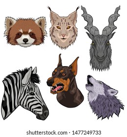 Set of animal heads isolated on a white background. Vector graphics.