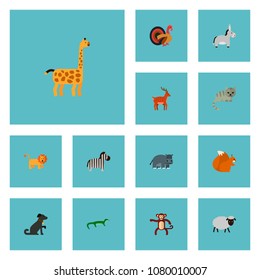 Set of animal icons flat style symbols with dog, gecko, monkey and other icons for your web mobile app logo design.