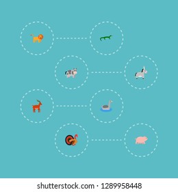 Set of animal icons flat style symbols with lion, pig, gecko and other icons for your web mobile app logo design.