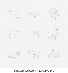 Set of animal icons line style symbols with hogfish, dankey, puma and other icons for your web mobile app logo design.