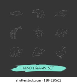 Set of animal icons line style symbols with duck, rat, bear and other icons for your web mobile app logo design.