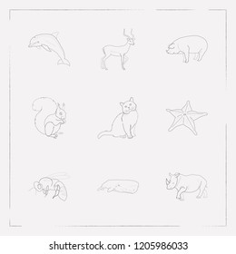 Set of animal icons line style symbols with antelope, bee, rhino and other icons for your web mobile app logo design.