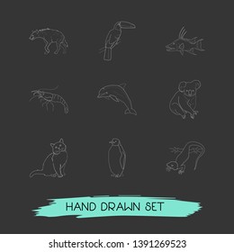 Set of animal icons line style symbols with dolphin, penguin, koala and other icons for your web mobile app logo design.