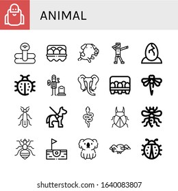 Set of animal icons. Such as Wise, Flamingo, Egg, Dog, Dab, Eggs, Ladybug, Widower, Elephant, Dragonfly, Stonefly, Guide dog, Snake, Beetle, Bee, Louse, Birdie , animal icons