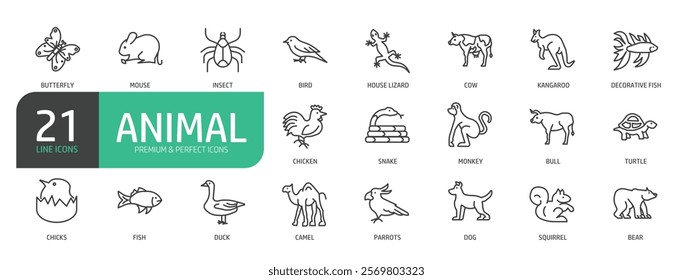 Set Of Animal Line Icons. The set includes a Butterfly, Mouse, Insect, Bird, Kangaroo, Fish, Chicken, Duck, Bear, Camel, Monkey, and more.