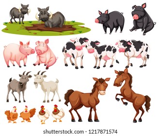 Set von Tieren auf weißem Hintergrund, Vektorgrafik