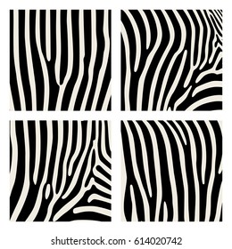 Set of animal pattern. Imitation print of skin of zebra. Black stripes on gray background.